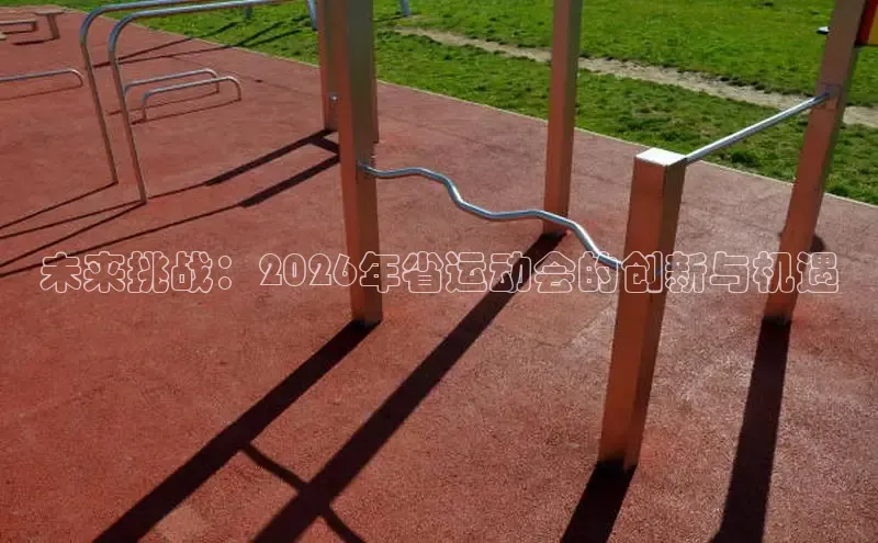 熊猫体育app官网入口